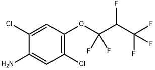 2,5-二氯-4-(1,1,2,3,3,3-六氟丙氧基)苯胺